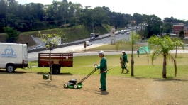 servico_jardinagem_01